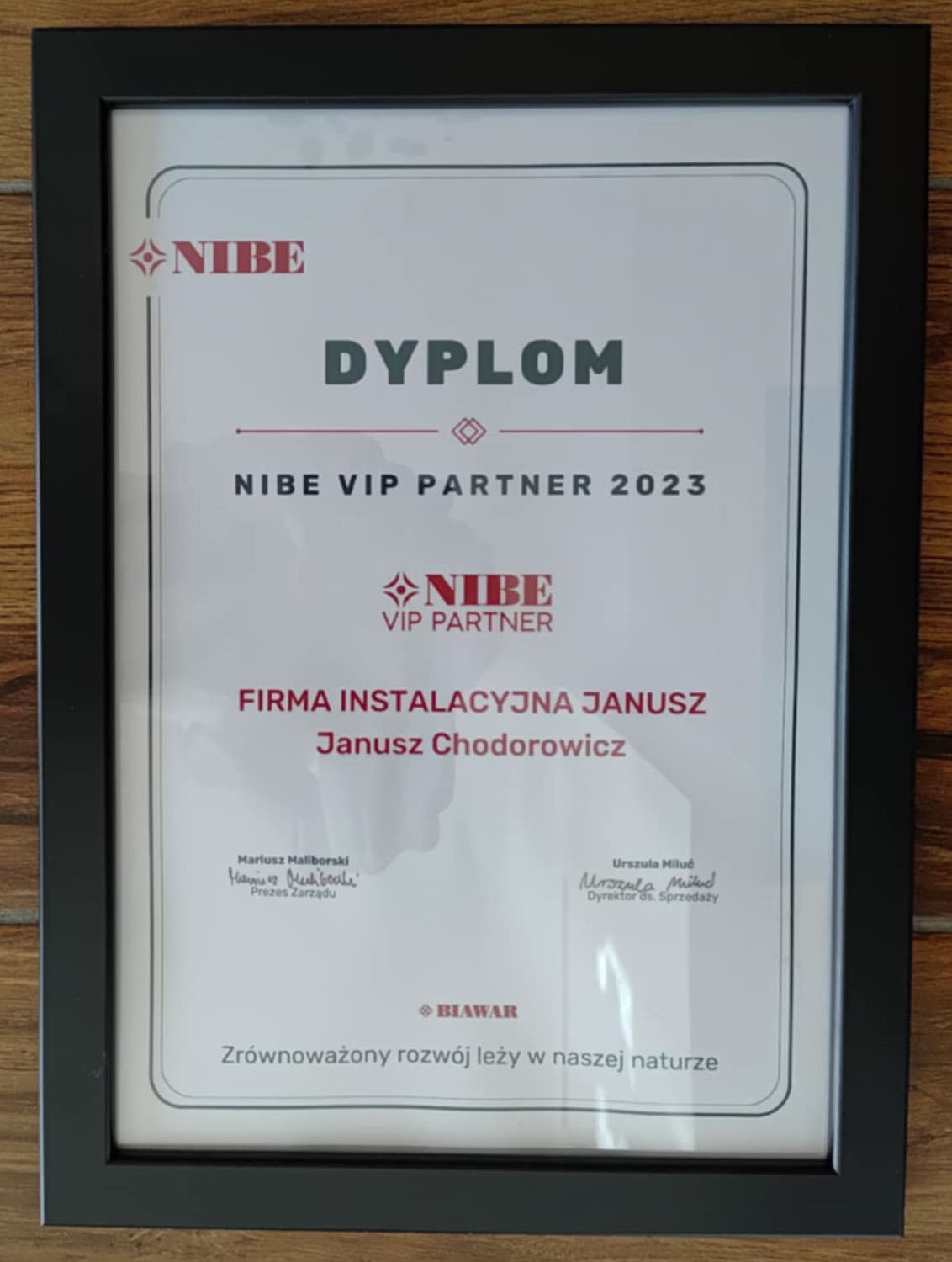 Dyplom NIBE VIP Partner 2023